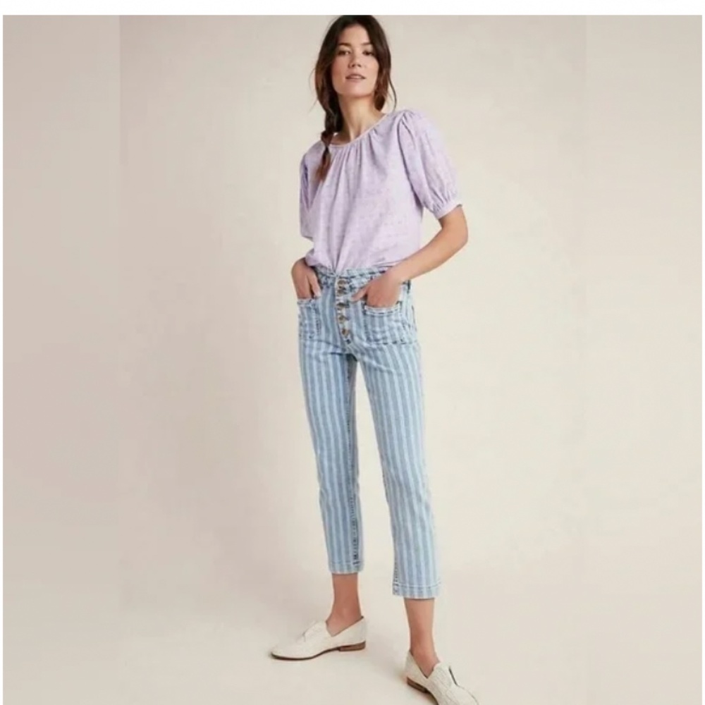 Anthropologie Pilcro high rise slim striped straight jeans, 27